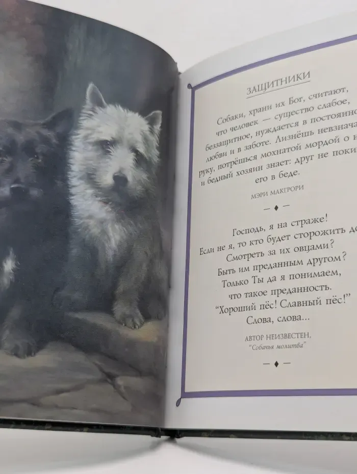 Собаки. Высказывания