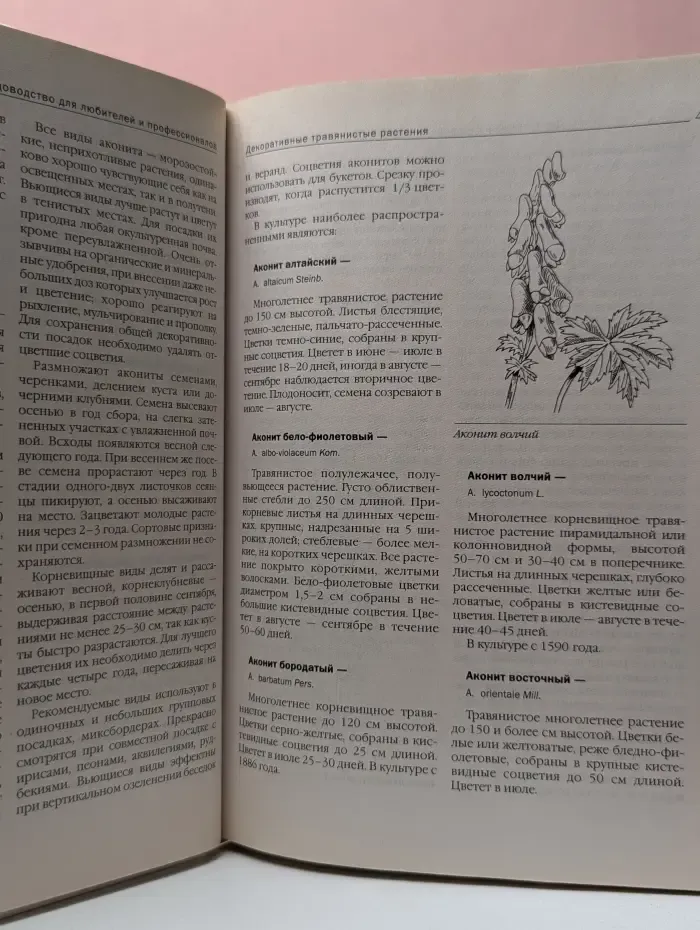 Популярная энциклопедия. Декоративное садоводство. Травянистые растения