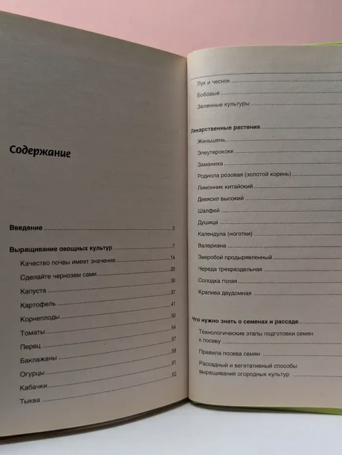 Наш огород