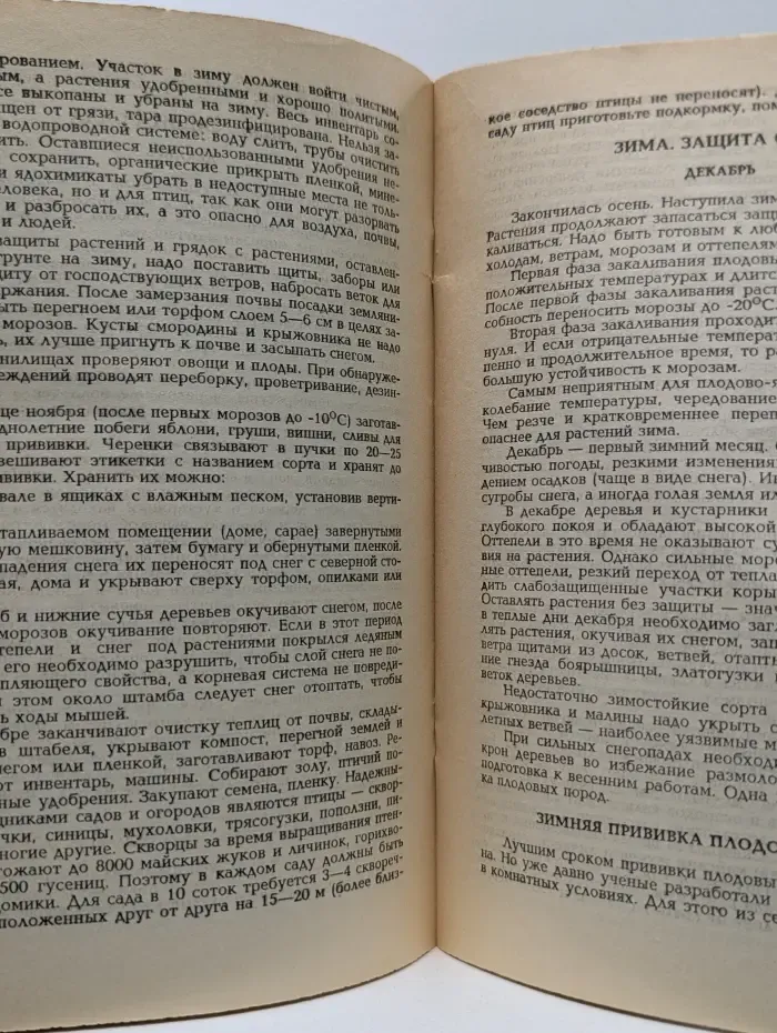 День за днем в саду и огороде