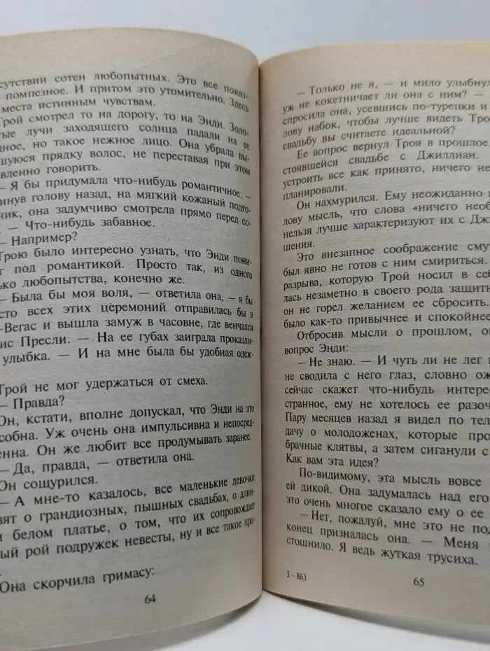 Любовный роман. Почти свадебное путешествие