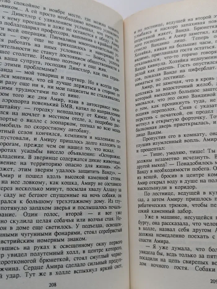 Поцелуй небес