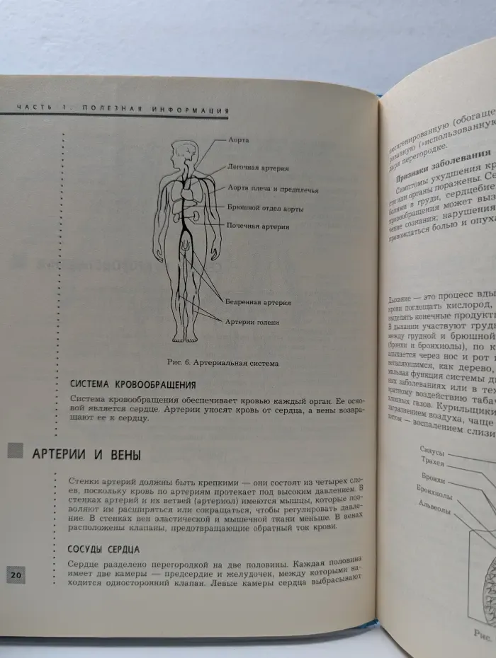Полная энциклопедия. Очищение организма человека