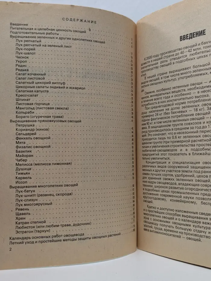 Витамины с грядки