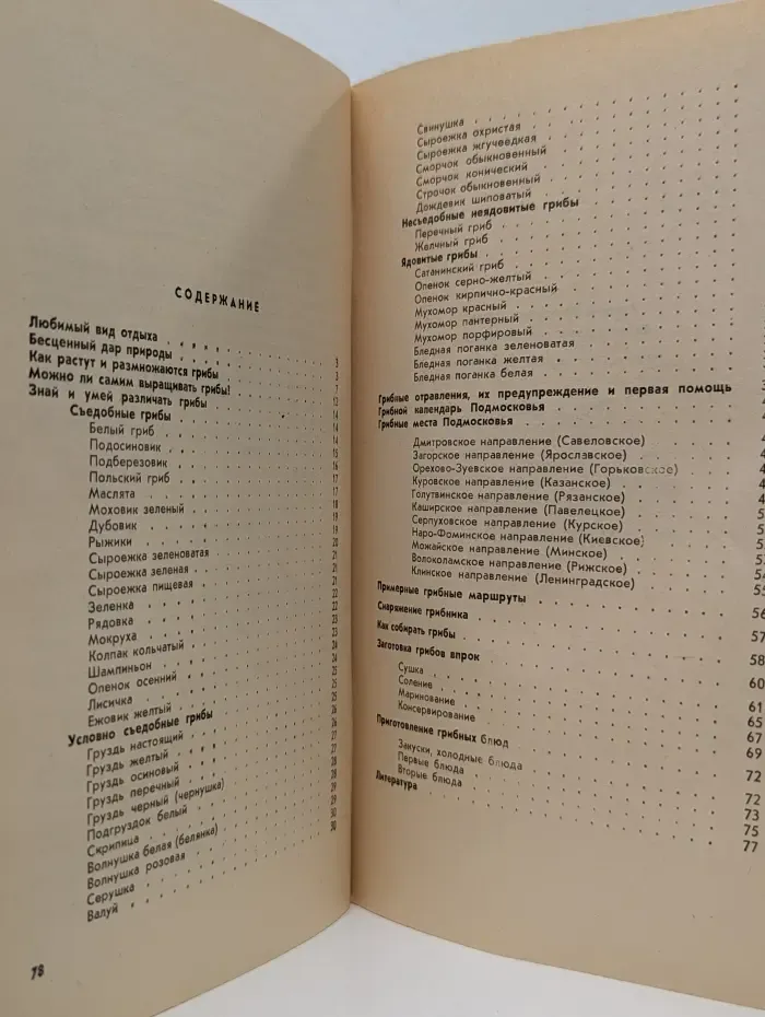 Грибы и грибные места подмосковья