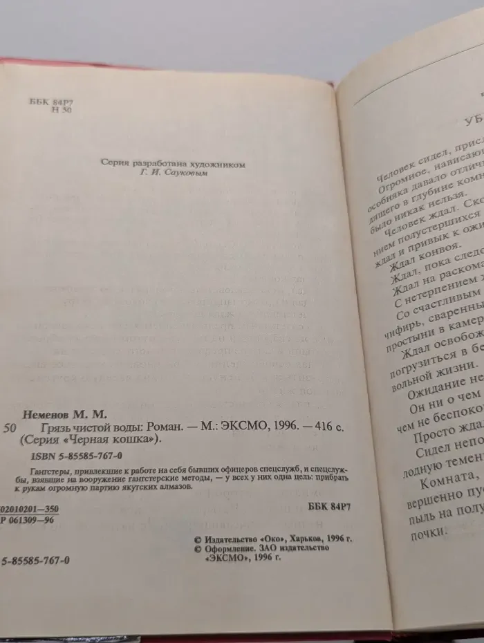 Черная кошка. Грязь чистой воды