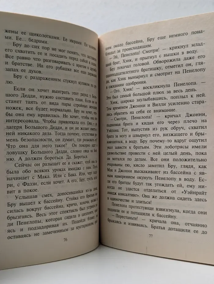 Любовный роман. Неукротимый Бру