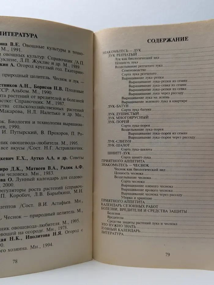 На грядке и в саду. Лук, чеснок