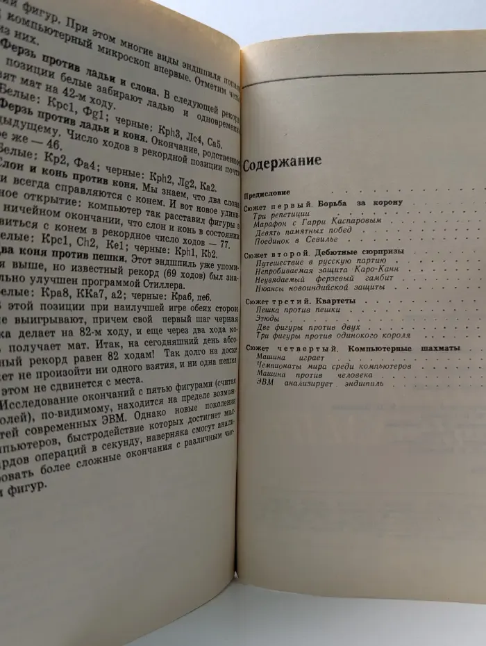 Шахматные сюжеты