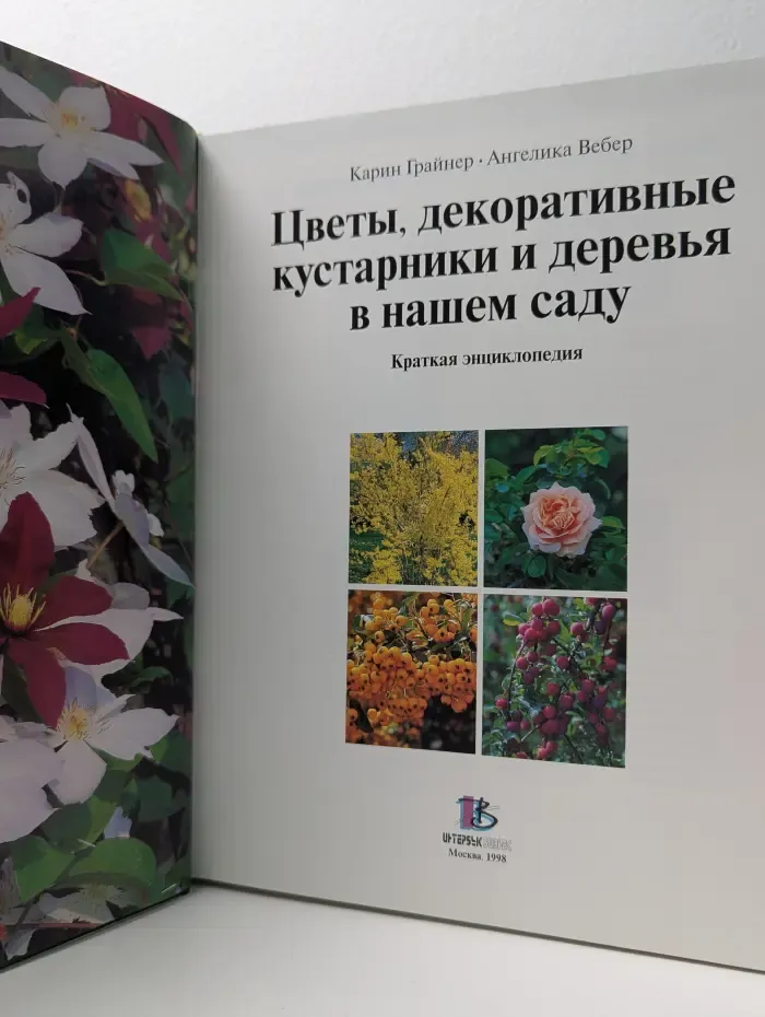 Цветы, декоративные кустарники и деревья в нашем саду