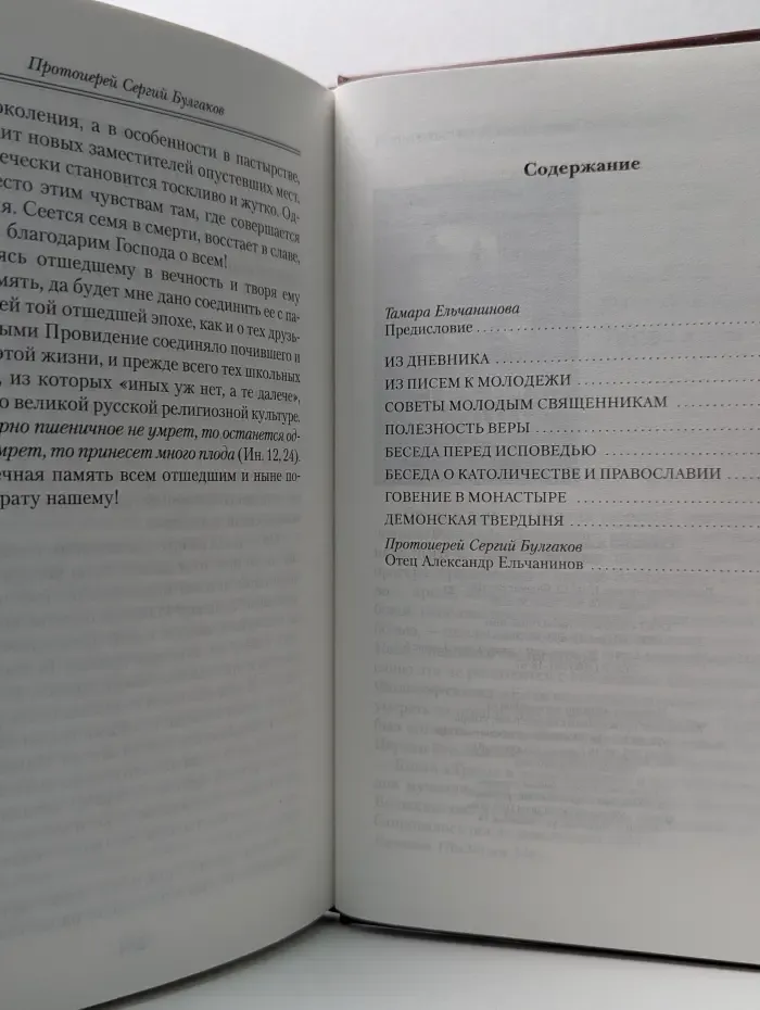 Духовный собеседник. Священник Александр Ельчанинов. Записи