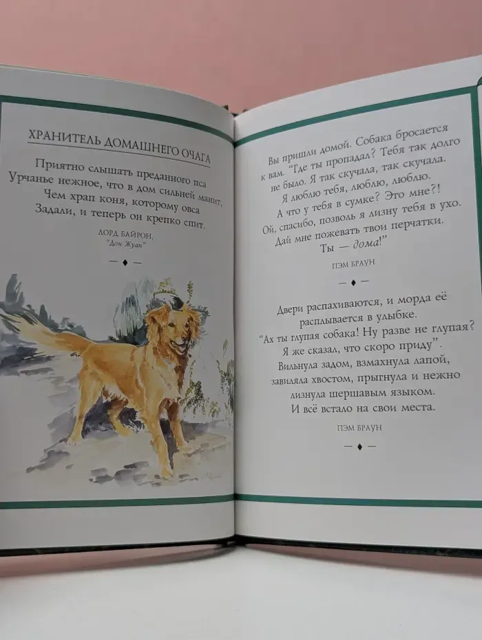 Собаки. Высказывания