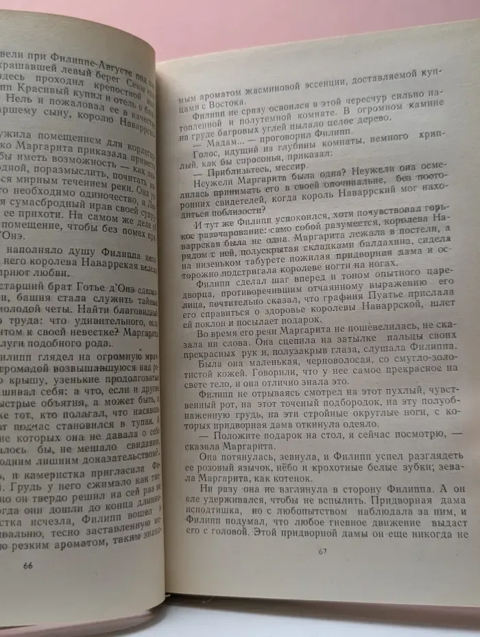 Железный король. Узница Шато-Гайара
