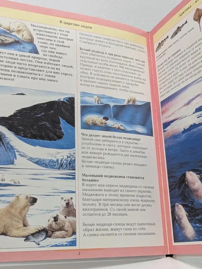 Все обо всем. Дикие животные