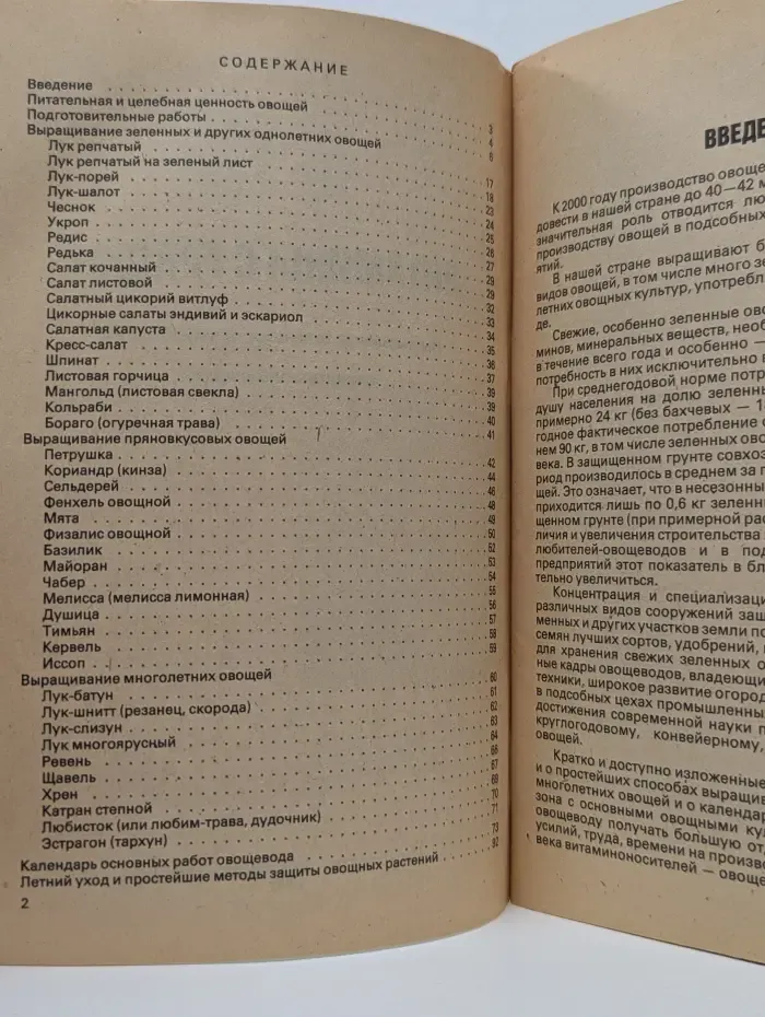 Витамины с грядки