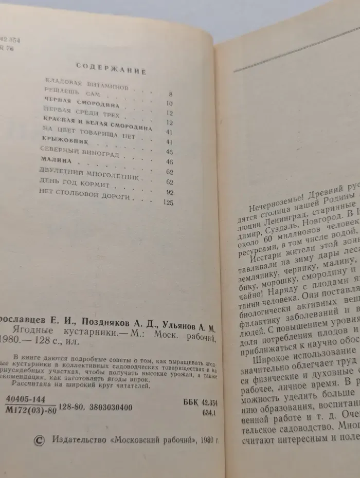 Ягодные кустарники
