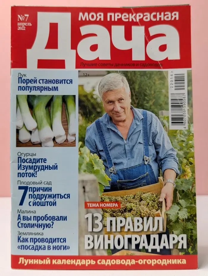Моя прекрасная дача. Выпуск № 7/2022