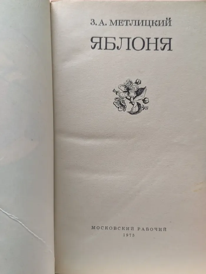 Яблоня