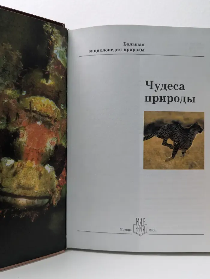 Большая энциклопедия природы. Том 16. Чудеса природы