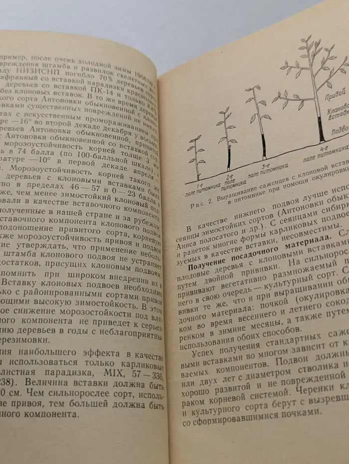 Интенсивные сады Нечерноземья