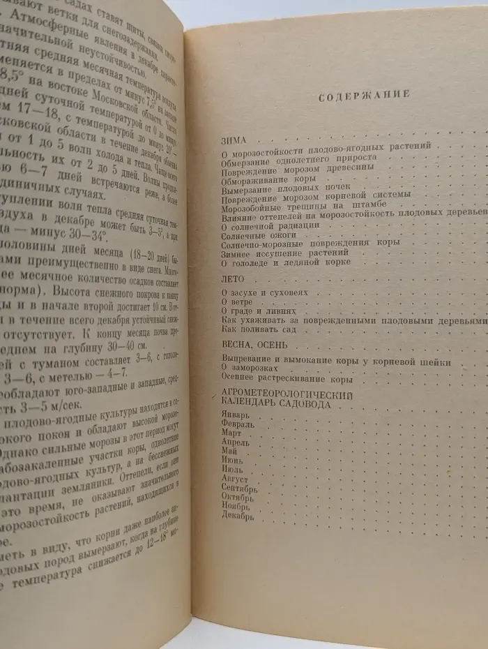 Погода и сад