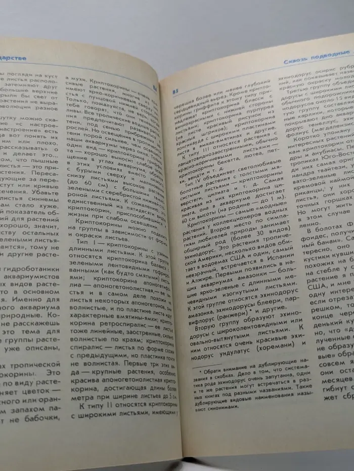Занимательный аквариум