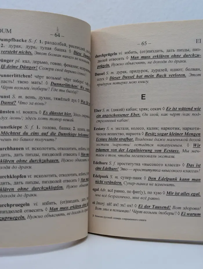 Немецко-русский словарь современного сленга и ненормативной лексики