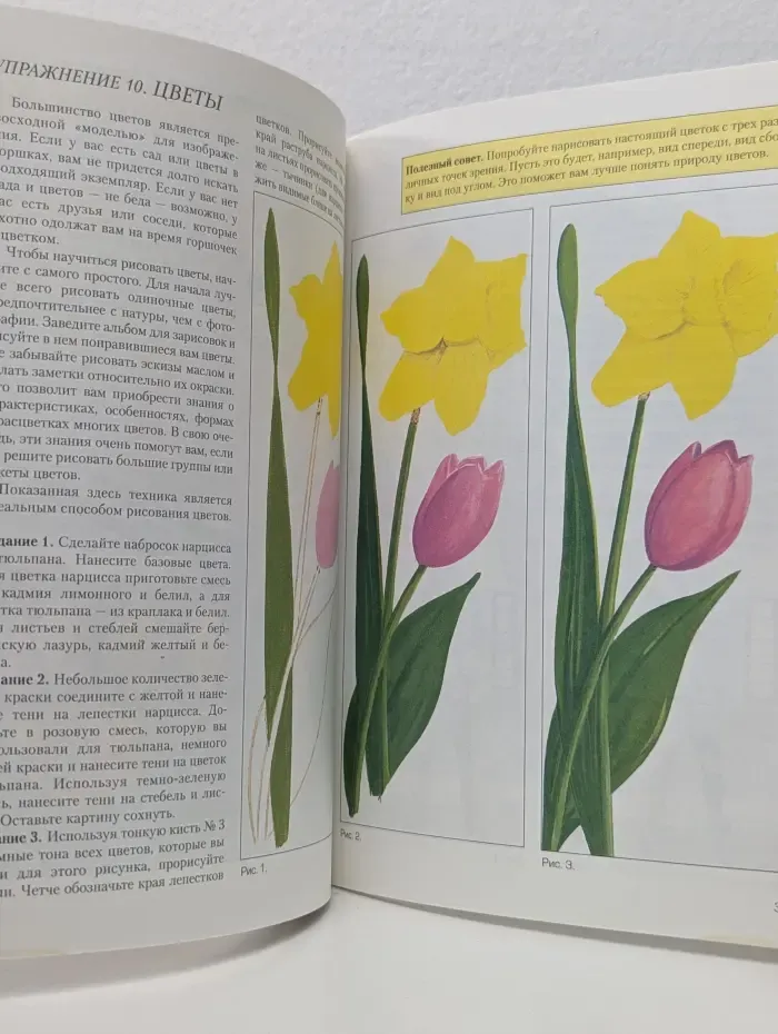 Учимся рисовать. Рисуем маслом