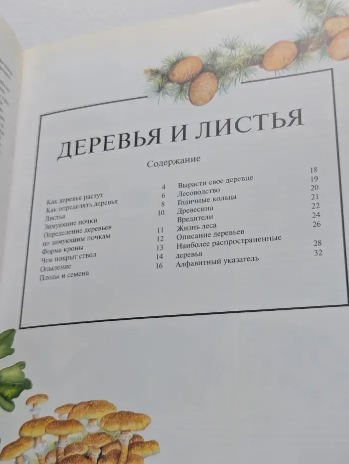 Юный натуралист. Деревья и листья