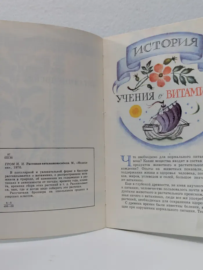 Растения-витаминоносители