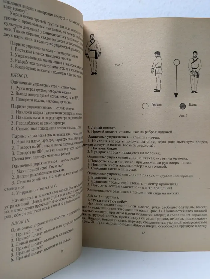 У-Шу. Знание школы Чой