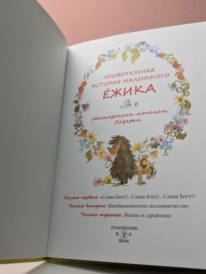 Удивительные истории маленького ежика