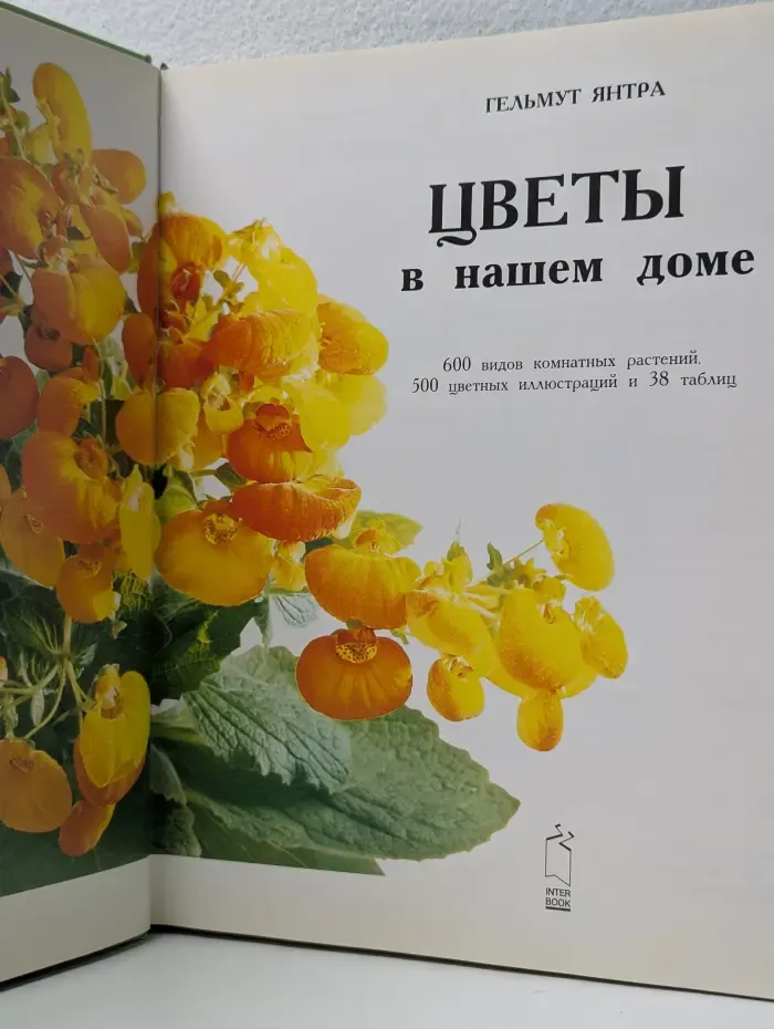 Цветы в нашем доме