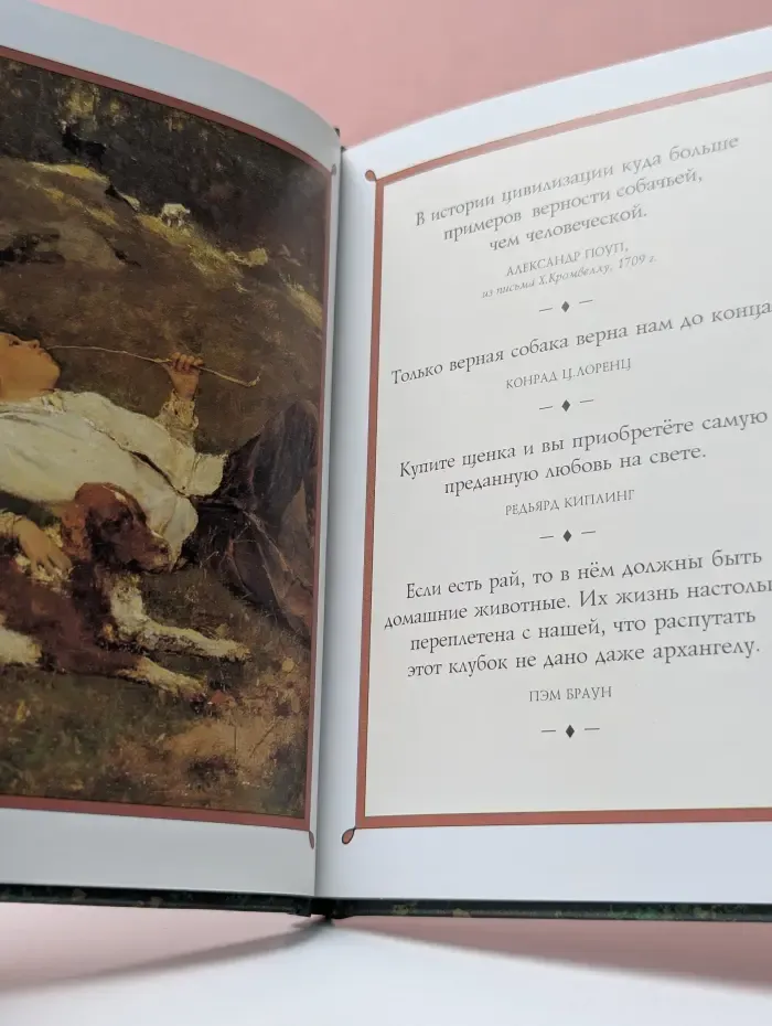 Собаки высказывания. Сборник симпатичных картинок и остроумных наблюдений