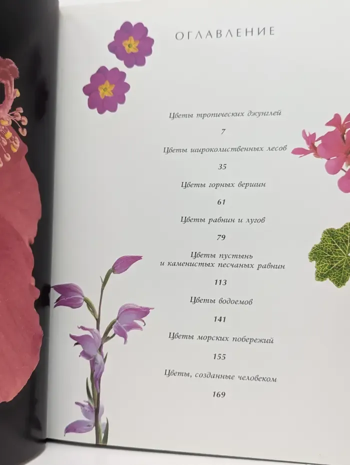 Цветы мира