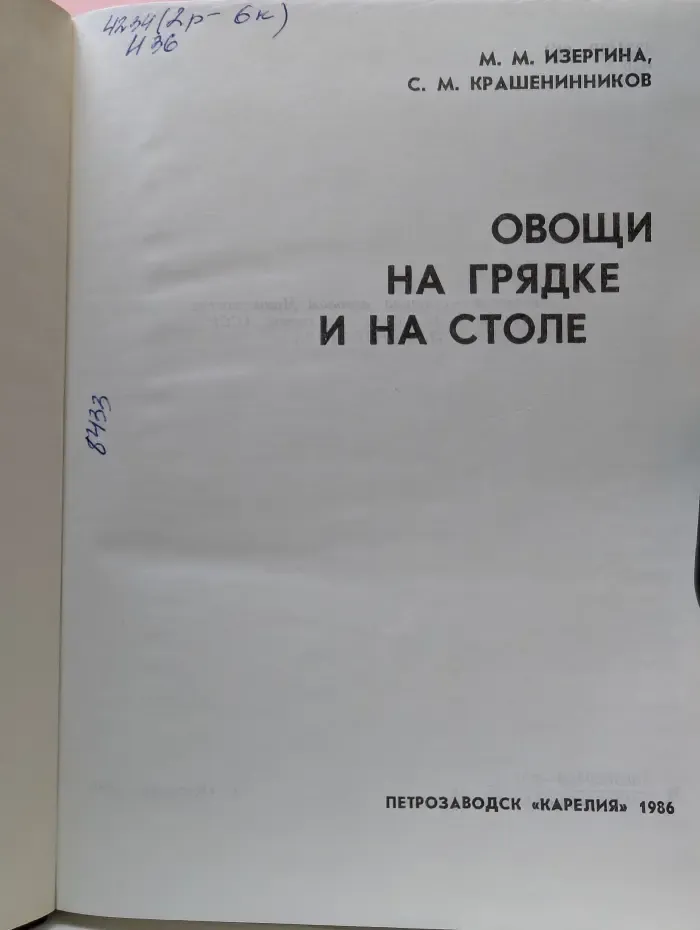 Овощи на грядке и на столе