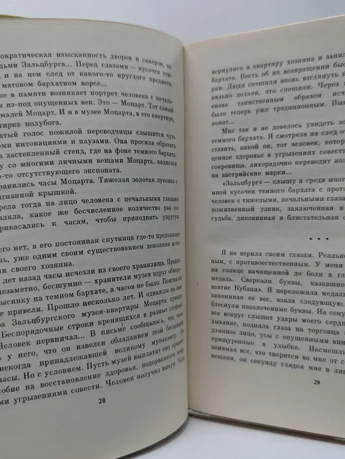Бабочка с озера Мичиган
