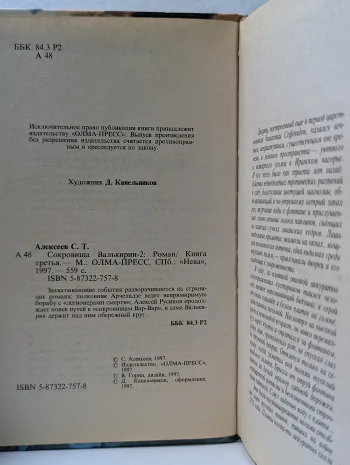 Русский проект. Сокровища Валькирии-2. Книга 3