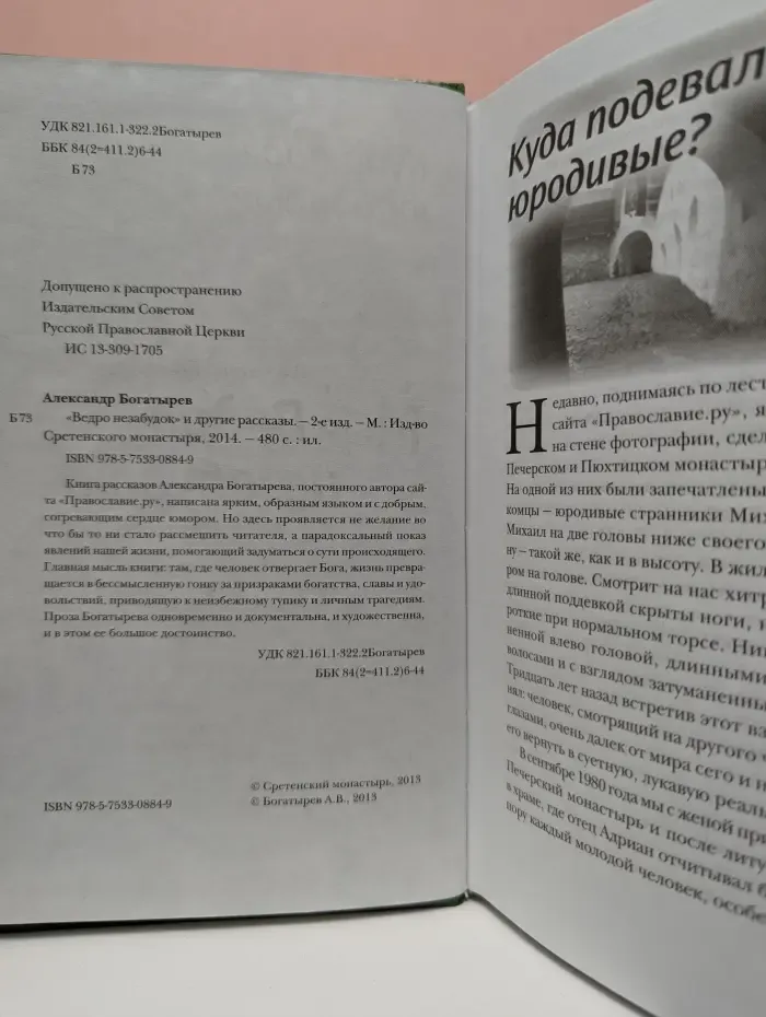 Ведро незабудок и другие рассказы