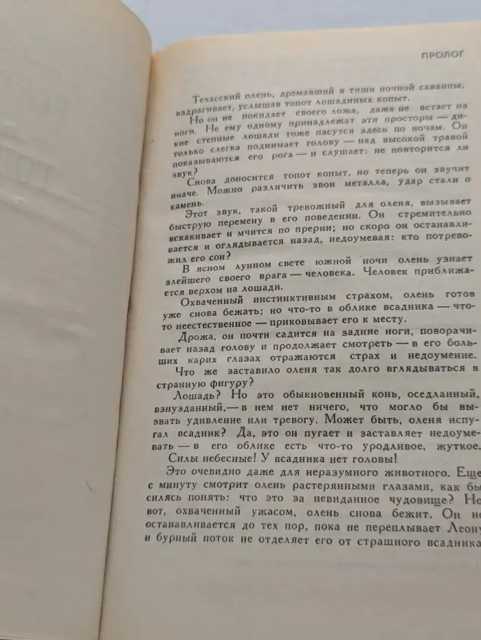 Всадник без головы