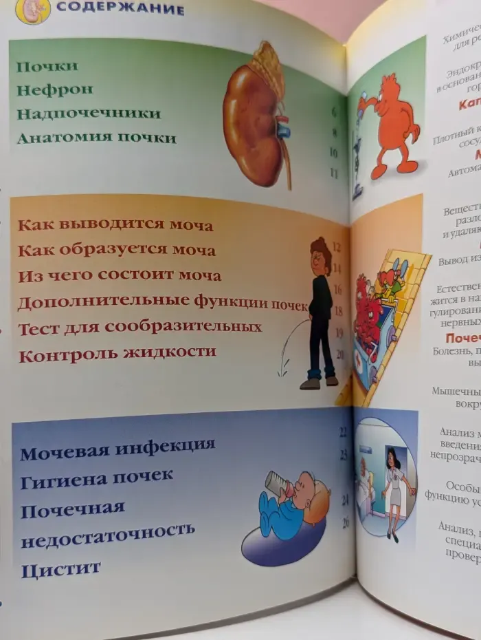 Как устроено тело человека. Выпуск 23. Почки