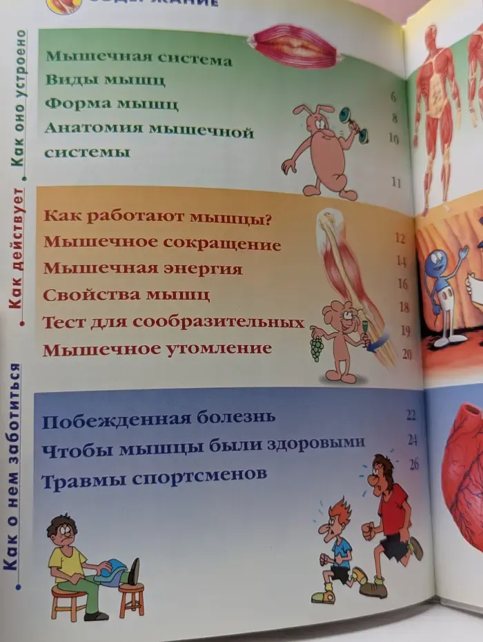 Как устроено тело человека. Выпуск 7. Мышцы