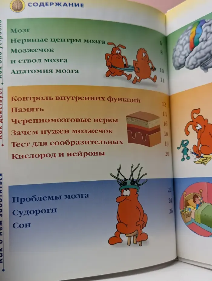 Как устроено тело человека. Выпуск 17. Мозг