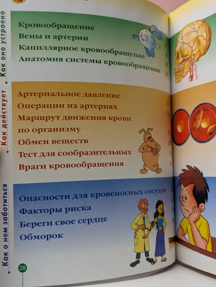 Как устроено тело человека. Выпуск 2. Кровообращение