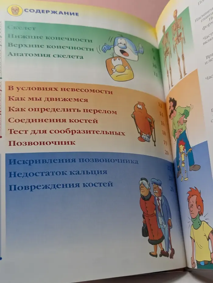 Как устроено тело человека. Выпуск 5. Скелет