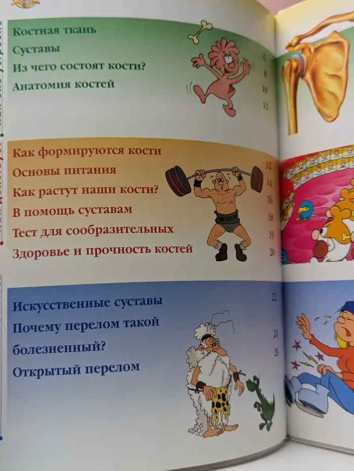 Как устроено тело человека. Выпуск 6. Кости
