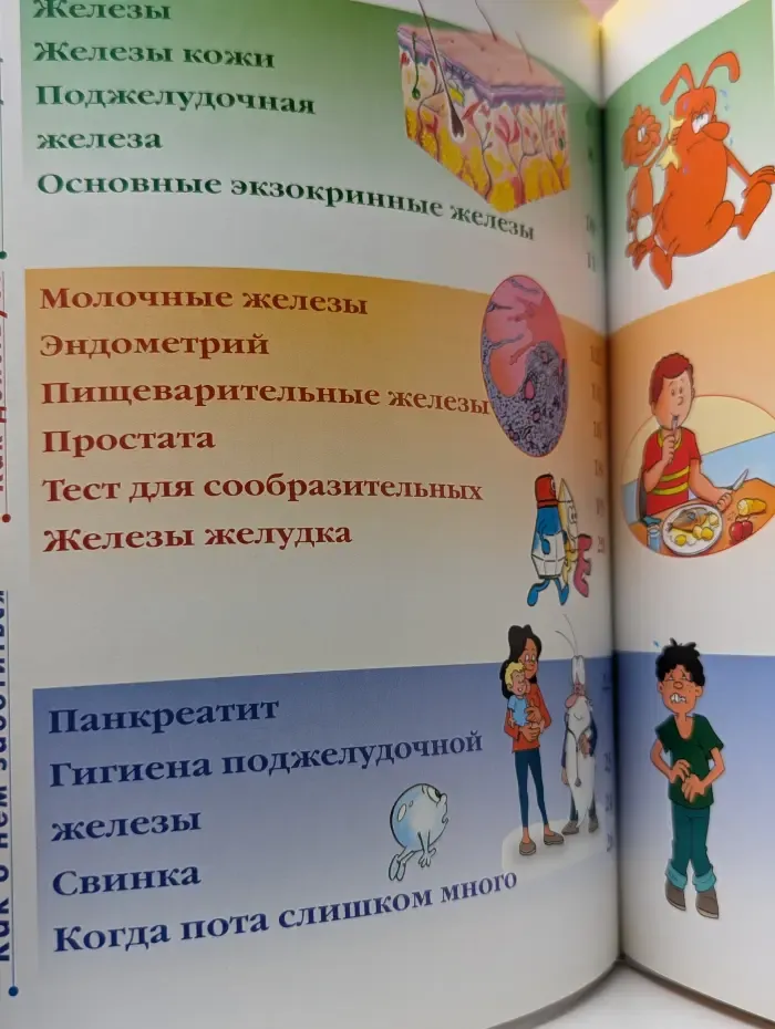 Как устроено тело человека. Выпуск № 28/2007. Железы