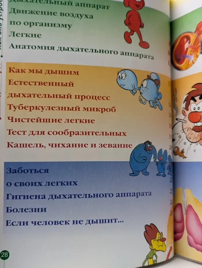 Как устроено тело человека. Выпуск 3. Легкие