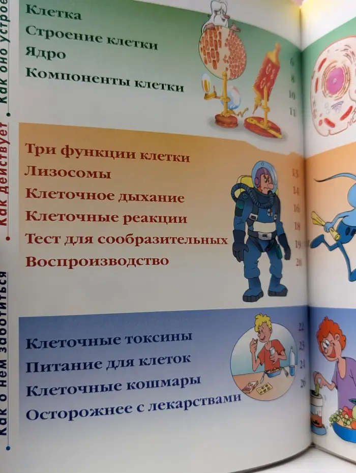 Как устроено тело человека. Выпуск 34. Клетка