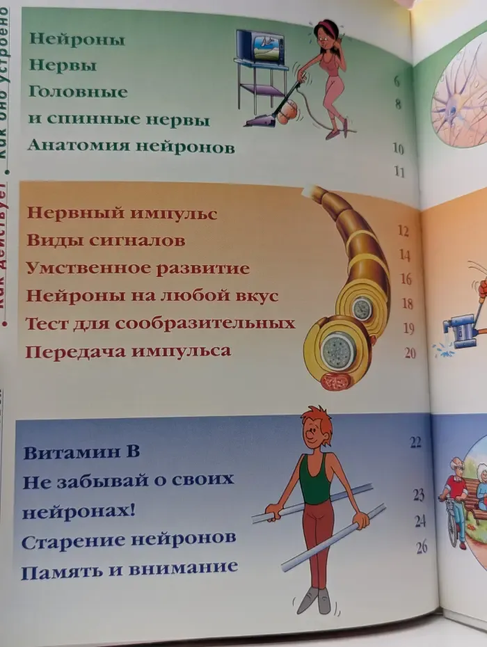 Как устроено тело человека. Выпуск № 25. Нейроны